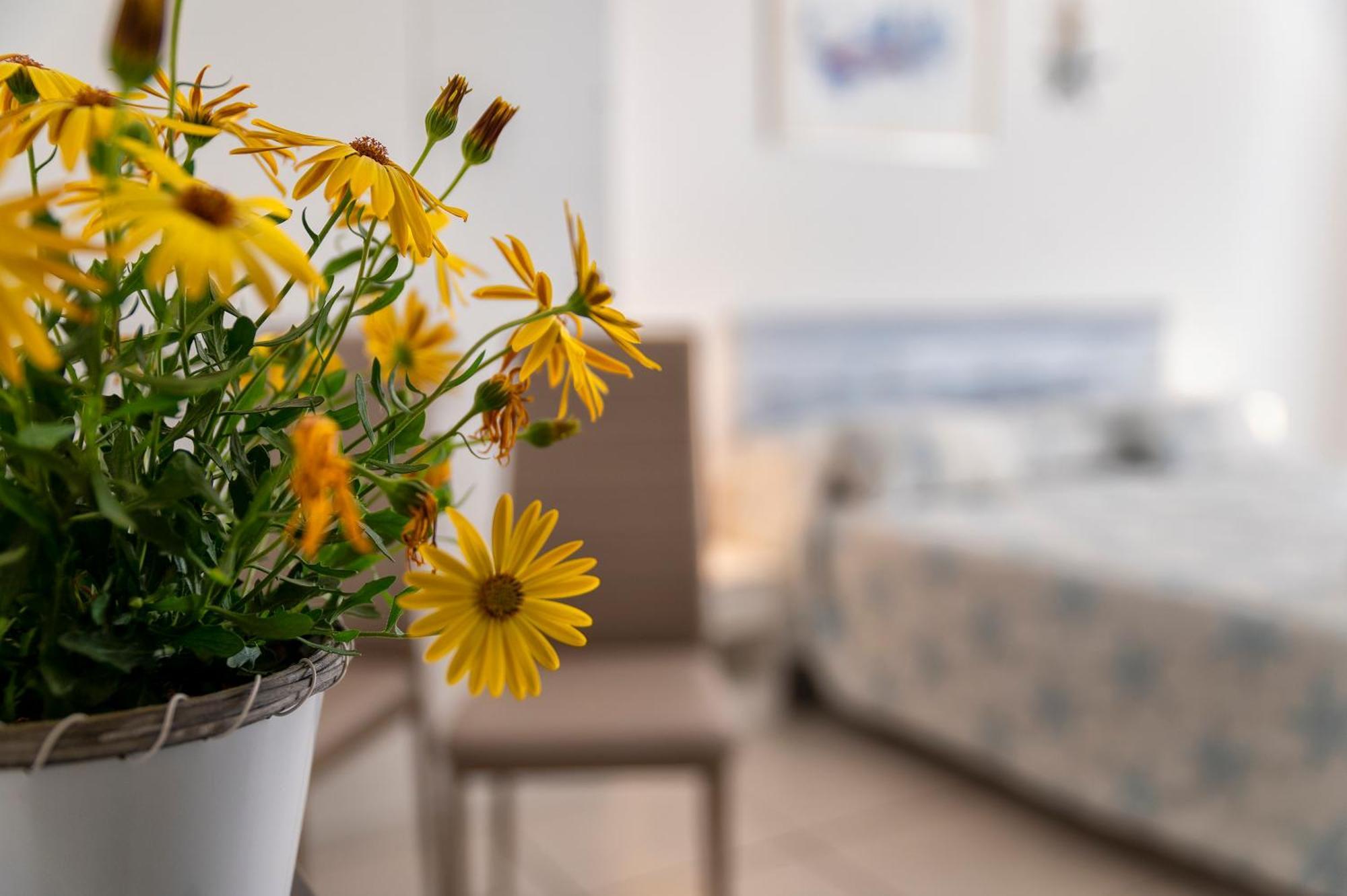Horizon Bed and Breakfast Αλγκέρο Εξωτερικό φωτογραφία
